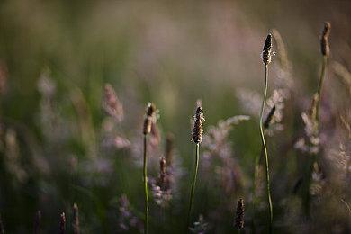 育碧强制下架《刺客信条：影》批评视频 下架了7次